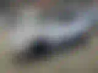 Vehicle Image- 2015 Hyundai Tucson