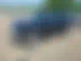 Vehicle Image- 2020 Hyundai Kona