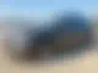Vehicle Image- 2023 Hyundai Kona