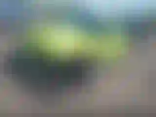 IMPORTOWO.pl
