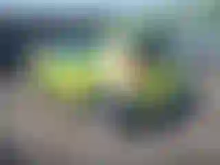 IMPORTOWO.pl