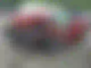 Vehicle Image- 2022 Hyundai Kona