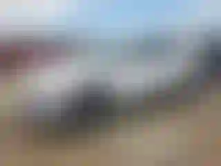 Vehicle Image- 2023 Hyundai Ioniq