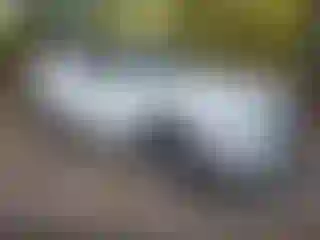 Vehicle Image- 2022 Hyundai Palisade