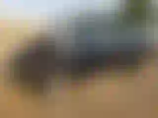 Vehicle Image- 2020 Hyundai Palisade