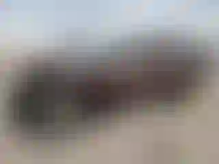 Vehicle Image- 2021 Hyundai Palisade