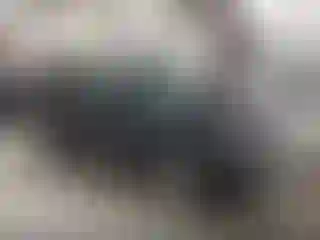 Vehicle Image- 2020 Hyundai Palisade