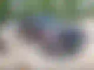 Vehicle Image- 2024 Hyundai Palisade