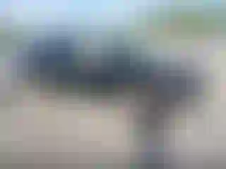 Vehicle Image- 2025 Hyundai Palisade