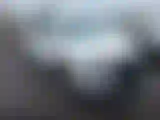 Vehicle Image- 2023 Hyundai Palisade