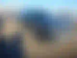Vehicle Image- 2021 Hyundai Palisade