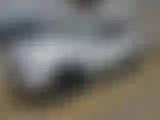 Vehicle Image- 2025 Hyundai Palisade