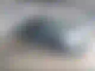 Vehicle Image- 2023 Hyundai Palisade