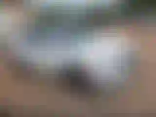 Vehicle Image- 2020 Hyundai Palisade