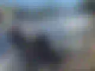 Vehicle Image- 2020 Hyundai Palisade