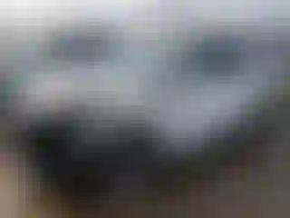 Vehicle Image- 2021 Hyundai Palisade