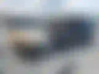 Vehicle Image- 2021 Hyundai Palisade
