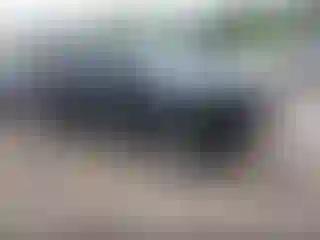 Vehicle Image- 2021 Hyundai Palisade