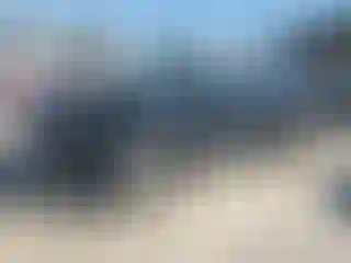 Vehicle Image- 2020 Hyundai Palisade