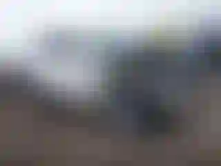 Vehicle Image- 2021 Hyundai Palisade