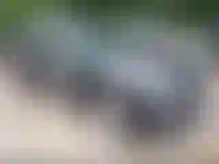 Vehicle Image- 2020 Hyundai Palisade