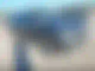 Vehicle Image- 2022 Hyundai Palisade