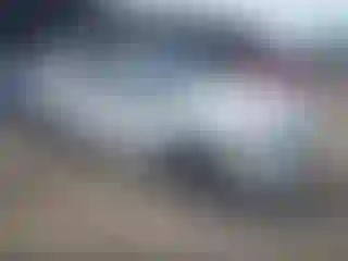 Vehicle Image- 2020 Hyundai Palisade