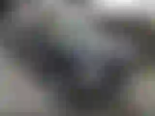 Vehicle Image- 2020 Hyundai Palisade