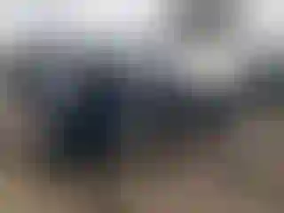 Vehicle Image- 2021 Hyundai Palisade