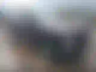 Vehicle Image- 2023 Hyundai Palisade