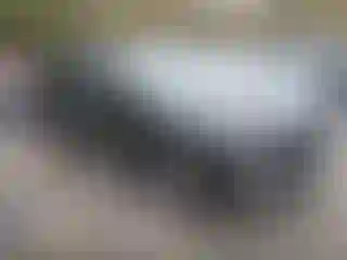 Vehicle Image- 2024 Hyundai Palisade