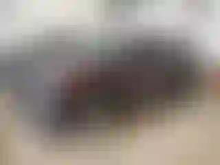 Vehicle Image- 2023 Hyundai Palisade