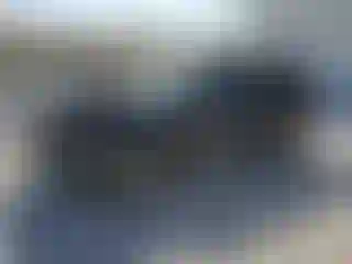Vehicle Image- 2025 Hyundai Palisade