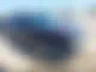 Vehicle Image- 2020 Hyundai Palisade
