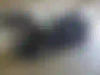 Vehicle Image- 2022 Hyundai Palisade
