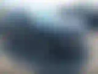 Vehicle Image- 2020 Hyundai Palisade