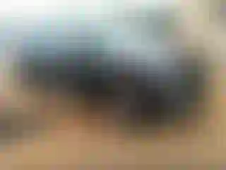 Vehicle Image- 2025 Hyundai Palisade