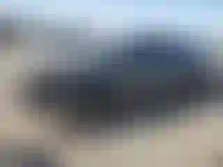Vehicle Image- 2025 Hyundai Palisade