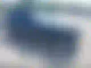 Vehicle Image- 2024 Hyundai Palisade