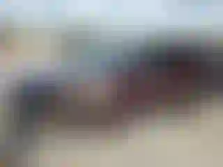 Vehicle Image- 2024 Hyundai Palisade