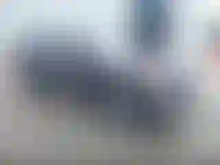 Vehicle Image- 2023 Hyundai Palisade