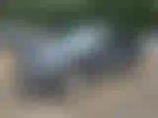 IMPORTOWO.pl