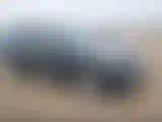 Vehicle Image- 2020 Hyundai Palisade
