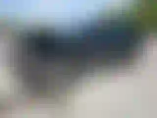 Vehicle Image- 2020 Hyundai Palisade