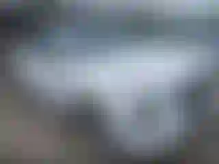 Vehicle Image- 2020 Hyundai Palisade
