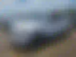 Vehicle Image- 2021 Hyundai Palisade