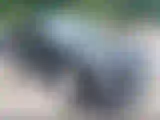 Vehicle Image- 2021 Hyundai Palisade