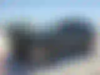 Vehicle Image- 2020 Hyundai Palisade