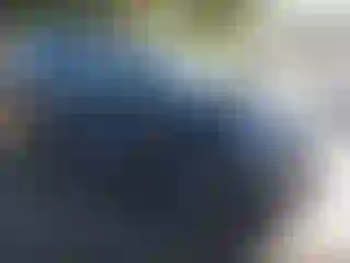 Vehicle Image- 2023 Hyundai Palisade