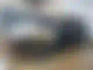 Vehicle Image- 2024 Hyundai Palisade